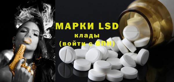 индика Козельск