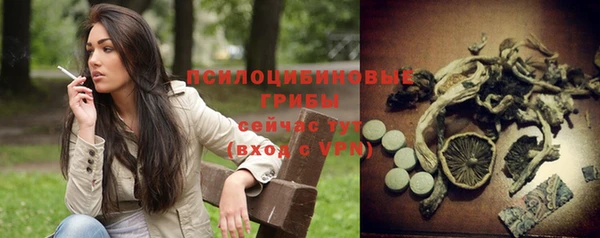 прущие крисы Абинск